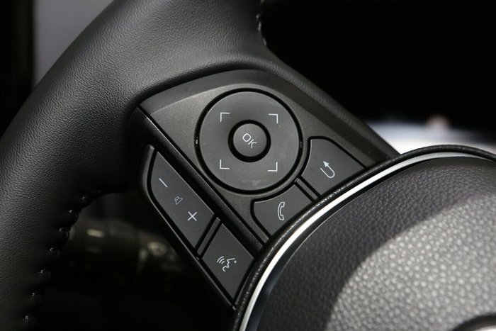 2025 Toyota RAV4 Cruiser