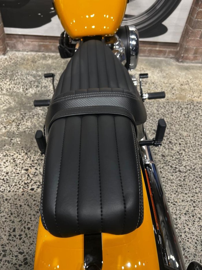 2025 Harley-Davidson Street Bob 117 (FXBB) Softail