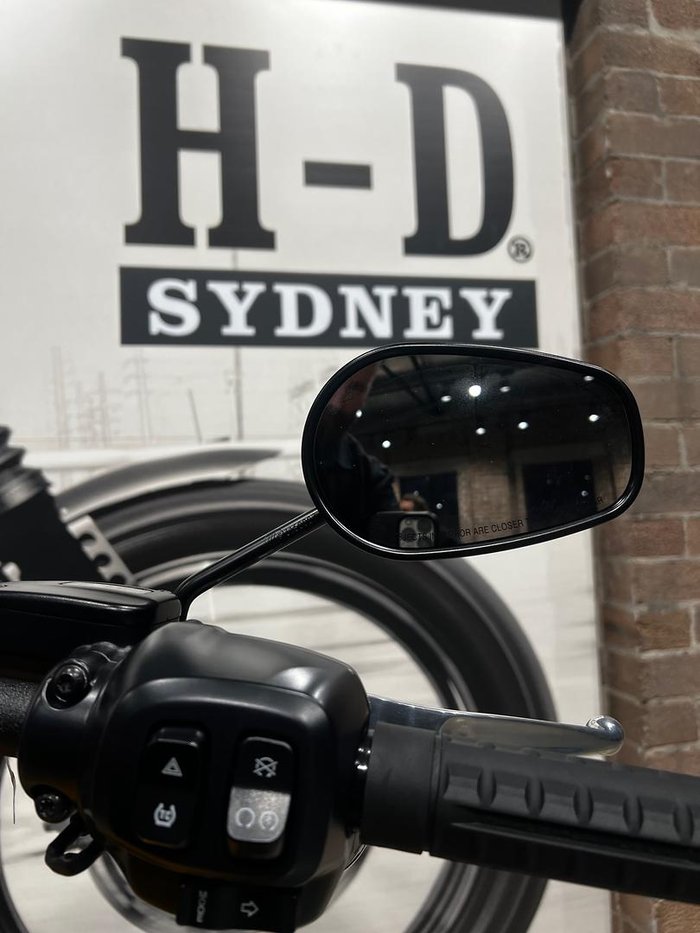 2025 Harley-Davidson Street Bob 117 (FXBB) Softail