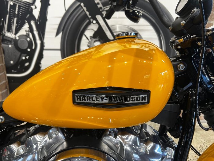 2025 Harley-Davidson Street Bob 117 (FXBB) Softail