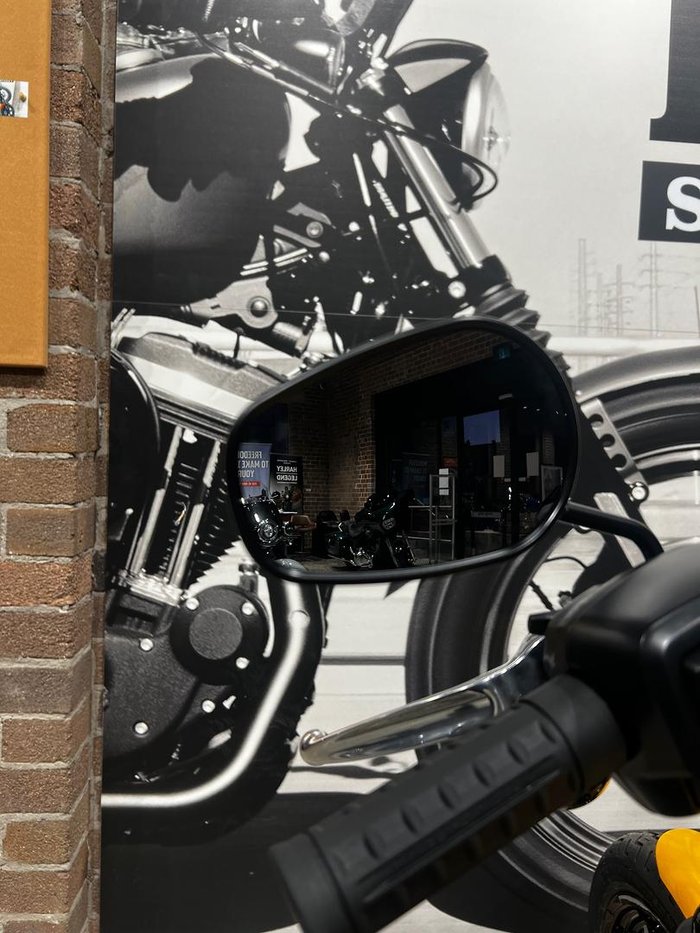 2025 Harley-Davidson Street Bob 117 (FXBB) Softail