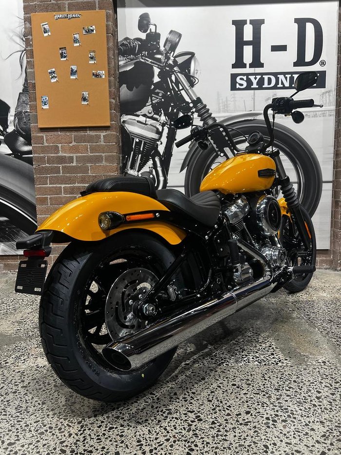 2025 Harley-Davidson Street Bob 117 (FXBB) Softail