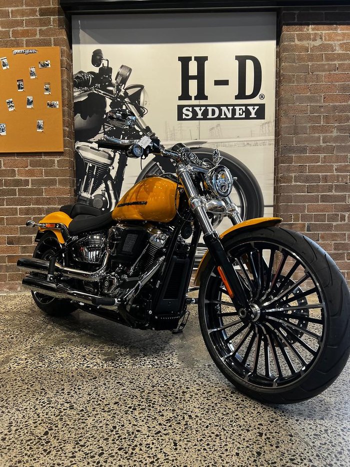 2025 Harley-Davidson Breakout 117 (FXBR) Softail