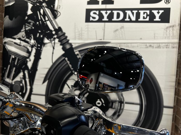 2025 Harley-Davidson Breakout 117 (FXBR) Softail