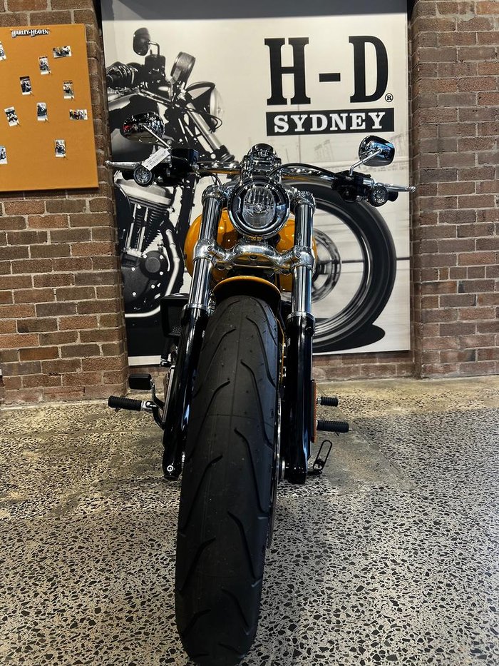 2025 Harley-Davidson Breakout 117 (FXBR) Softail