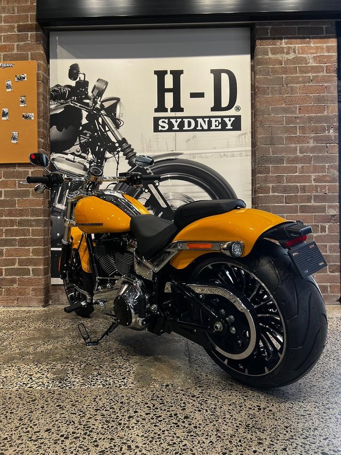 2025 Harley-Davidson Breakout 117 (FXBR) Softail