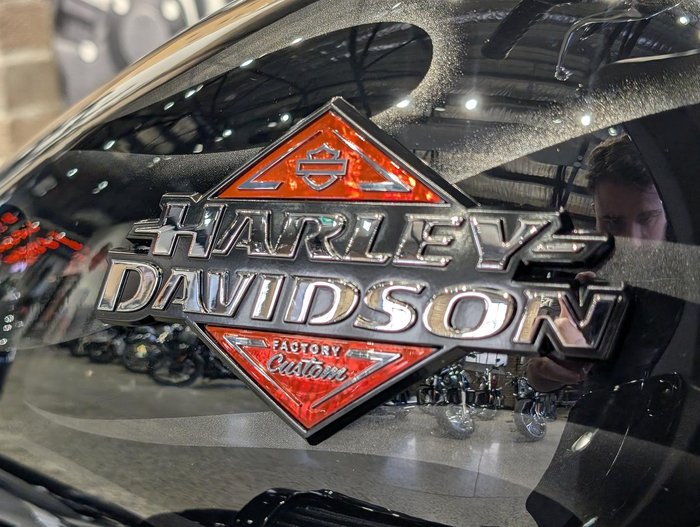 2025 Harley-Davidson Low Rider ST 117 (FXLRST) Softail