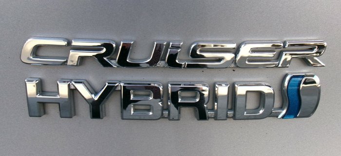 2021 Toyota RAV4 Cruiser