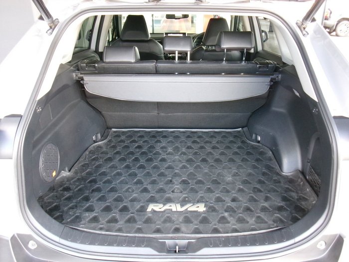 2021 Toyota RAV4 Cruiser