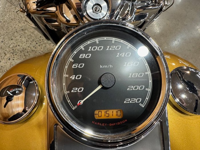 2017 Harley-davidson FLHR ROAD KING Gold