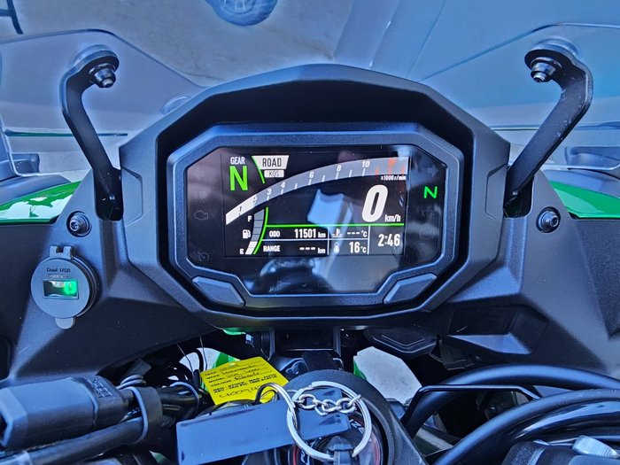 2022 Kawasaki Z1000 Green