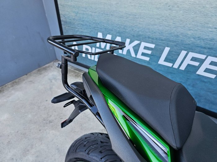 2022 Kawasaki Z1000 Green