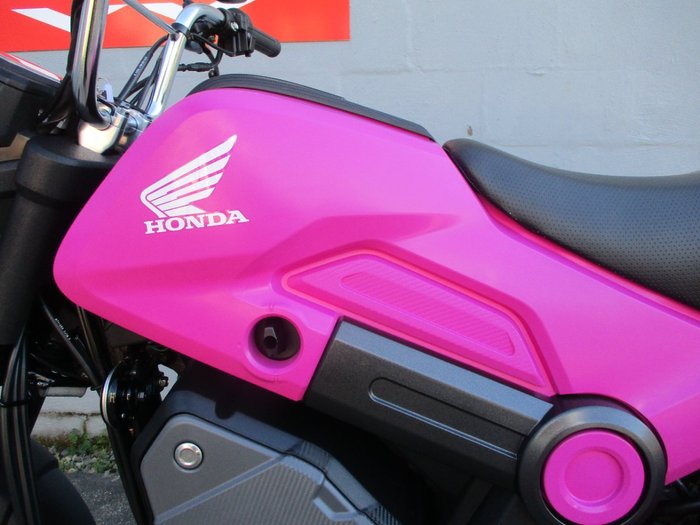 2024 Honda 2024 Honda 110CC NVA110 NAVI PINK