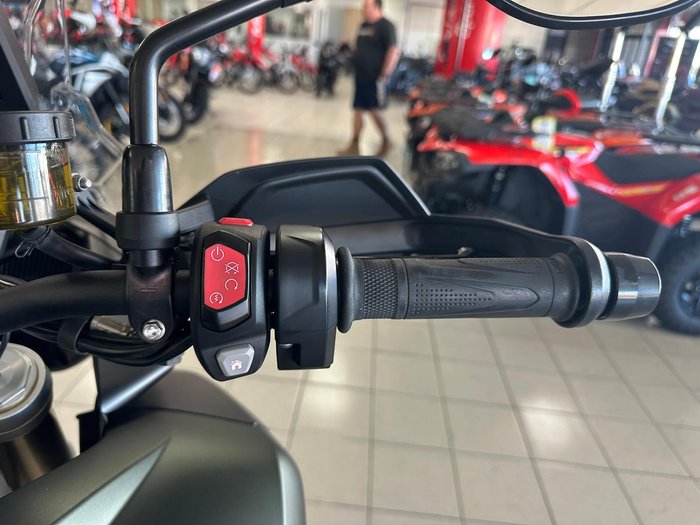 2022 Triumph Tiger 1200 Rally Pro Tiger Green