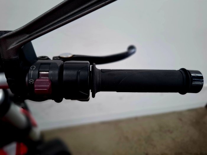 2015 DUCATI MONSTER 821 Red