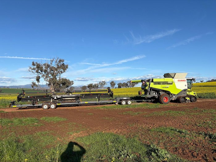 2017 CLAAS Lexion 770 Combine Lexion 770 Tt