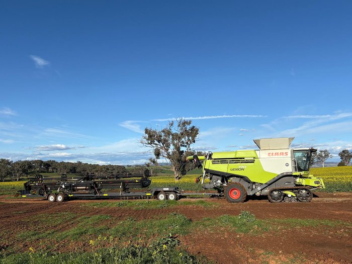 2017 CLAAS Lexion 770 Combine Lexion 770 Tt