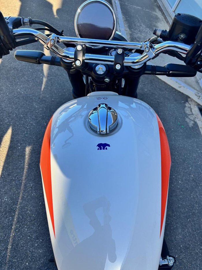 2025 Royal Enfield Bear 650