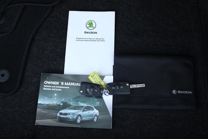 2019 SKODA Octavia 110TSI NE MY19 Moon White