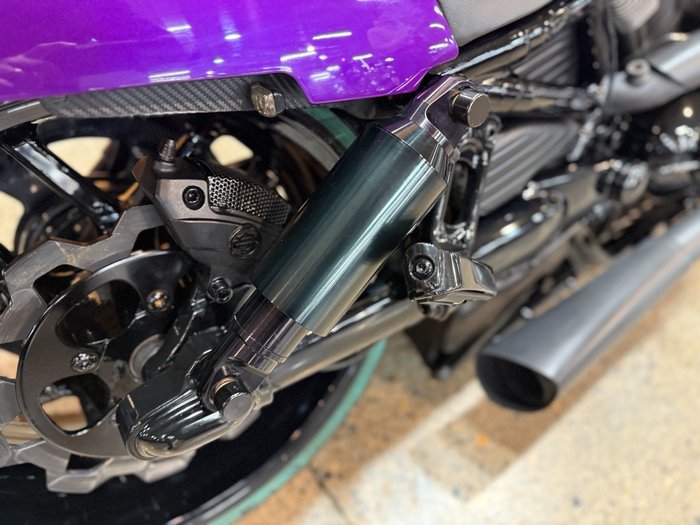 2016 Harley-davidson VRSCDX NIGHT ROD SPECIAL Purple