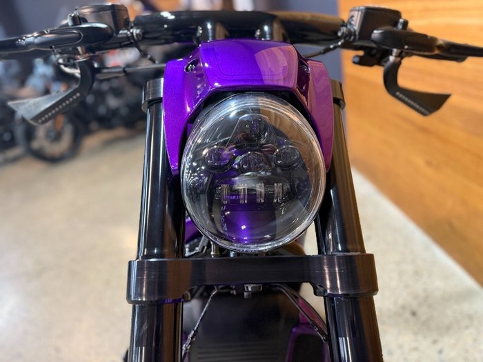 2016 Harley-davidson VRSCDX NIGHT ROD SPECIAL Purple