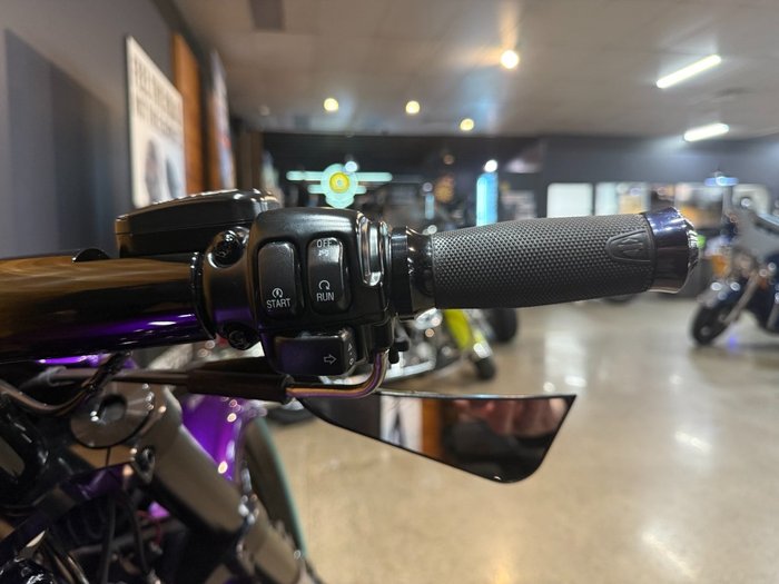 2016 Harley-davidson VRSCDX NIGHT ROD SPECIAL Purple