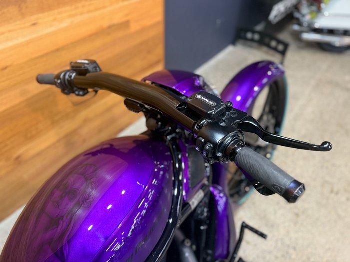2016 Harley-davidson VRSCDX NIGHT ROD SPECIAL Purple