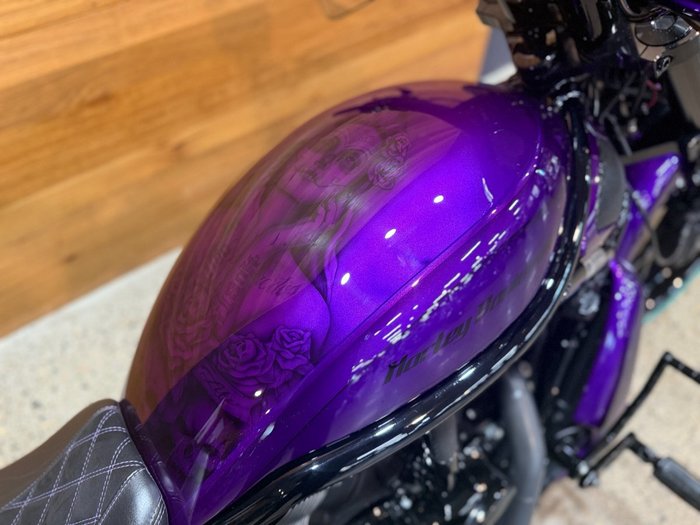 2016 Harley-davidson VRSCDX NIGHT ROD SPECIAL Purple