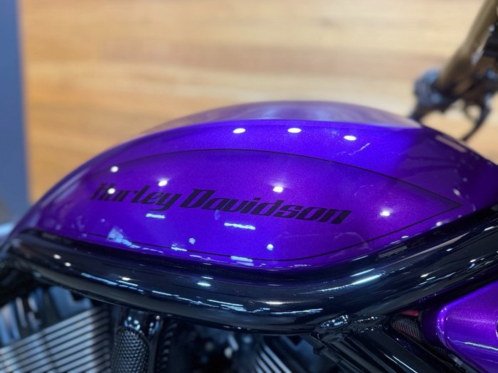 2016 Harley-davidson VRSCDX NIGHT ROD SPECIAL Purple