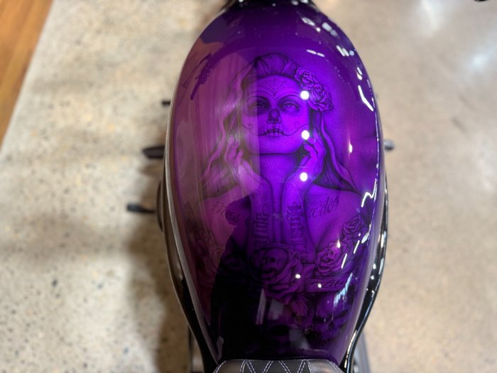 2016 Harley-davidson VRSCDX NIGHT ROD SPECIAL Purple