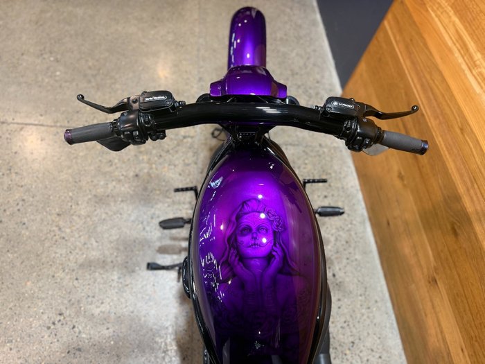 2016 Harley-davidson VRSCDX NIGHT ROD SPECIAL Purple