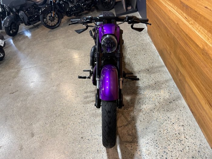 2016 Harley-davidson VRSCDX NIGHT ROD SPECIAL Purple