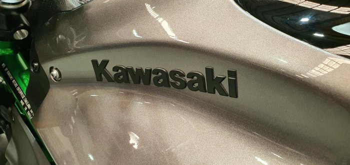 2025 Kawasaki Z900 SE Z Silver