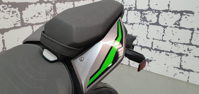 2025 Kawasaki Z900 SE Z Silver