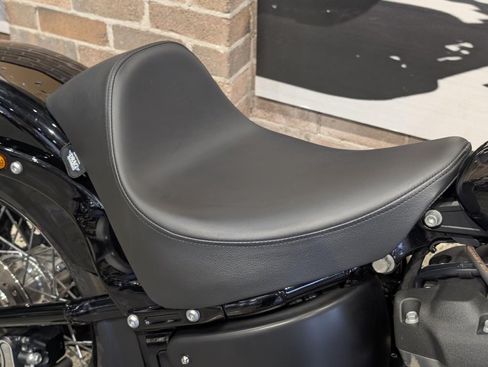 2019 Harley-Davidson Street Bob 107 (FXBB) Softail Black