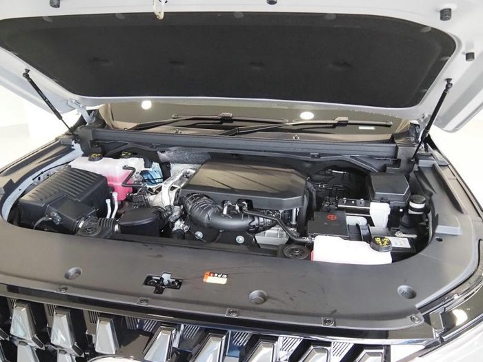 2025 LDV Terron 9 Origin