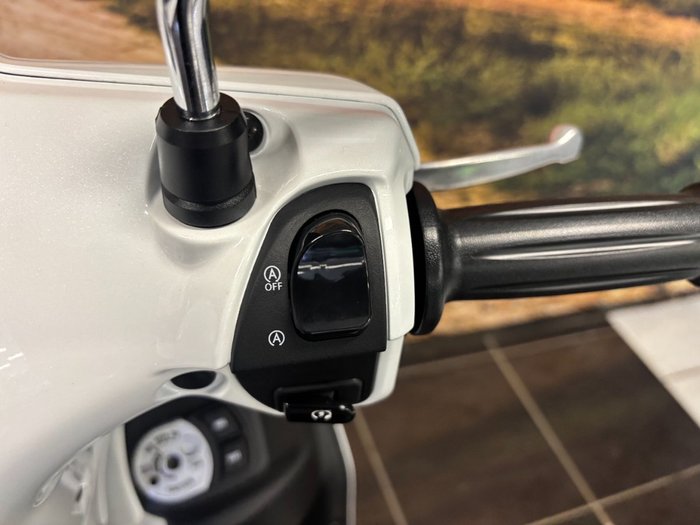 2024 Yamaha D ELIGHT 125 (LTS125-C) WHITE