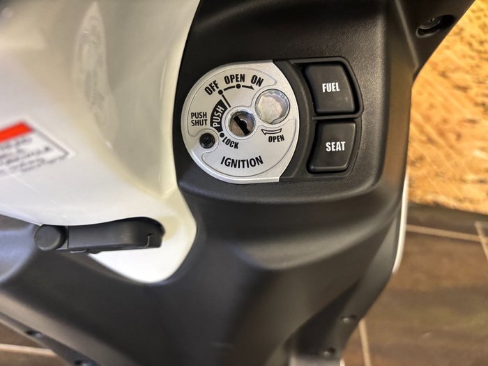 2024 Yamaha D ELIGHT 125 (LTS125-C) WHITE