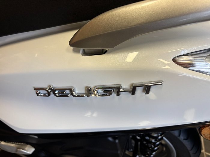 2024 Yamaha D ELIGHT 125 (LTS125-C) WHITE