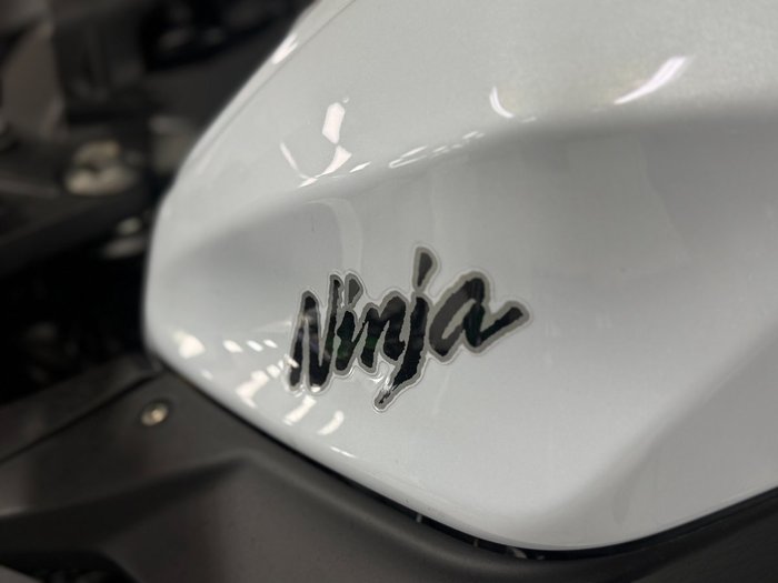 2014 Kawasaki NINJA 300 ABS