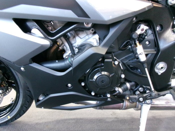 2025 BMW Motorrad S 1000 RR BLUESTONE METALLIC