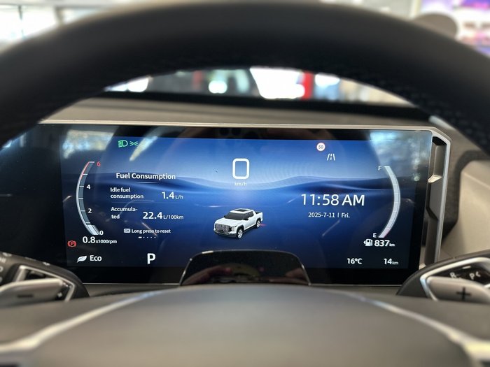 2025 LDV Terron 9 Origin