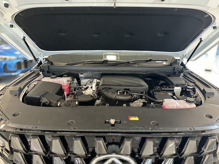 2025 LDV Terron 9 Origin