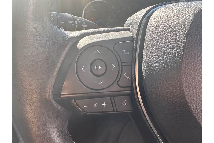 2020 Toyota RAV4 Cruiser
