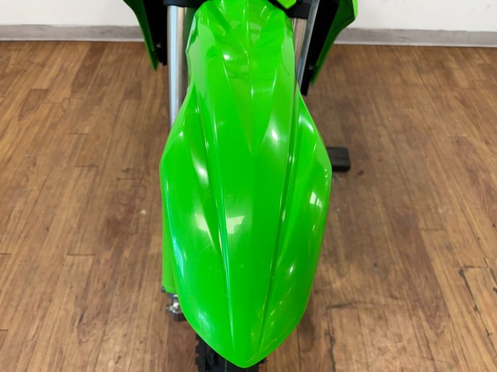 2025 Kawasaki KLX300R GREEN
