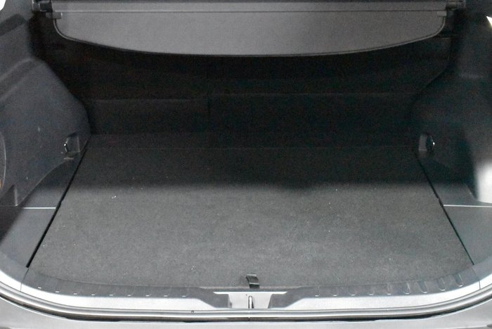 2024 Toyota RAV4 Cruiser