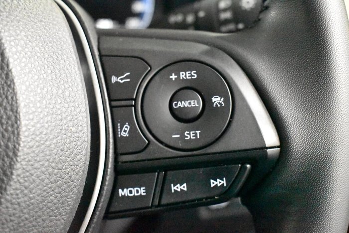 2024 Toyota RAV4 Cruiser