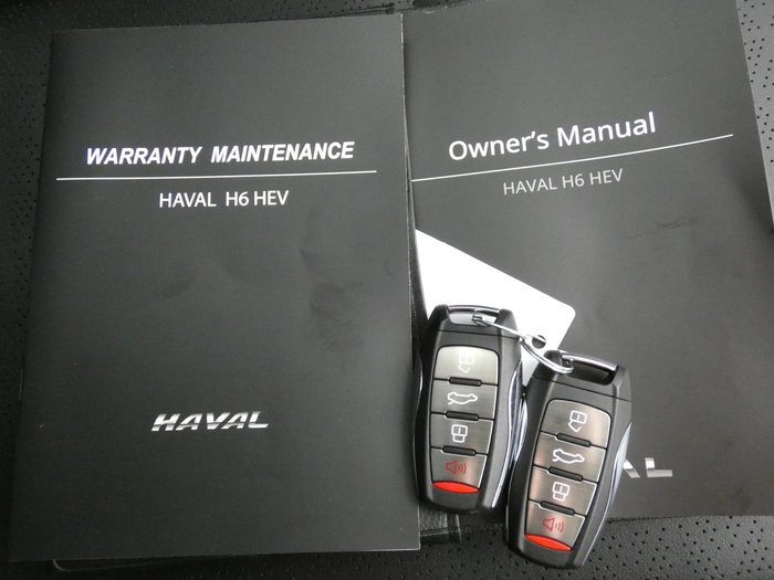 2024 GWM Haval H6