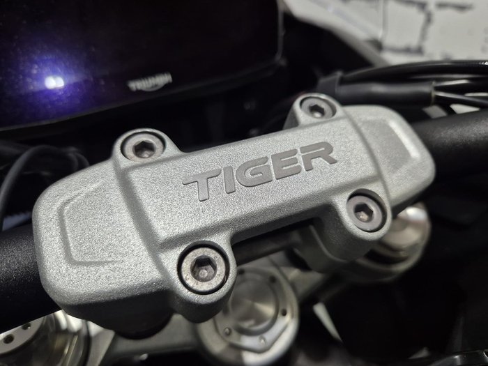 2023 Triumph Tiger 1200 GT Pro Tiger Blue