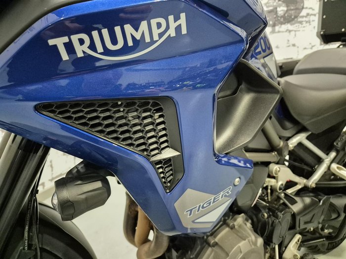 2023 Triumph Tiger 1200 GT Pro Tiger Blue
